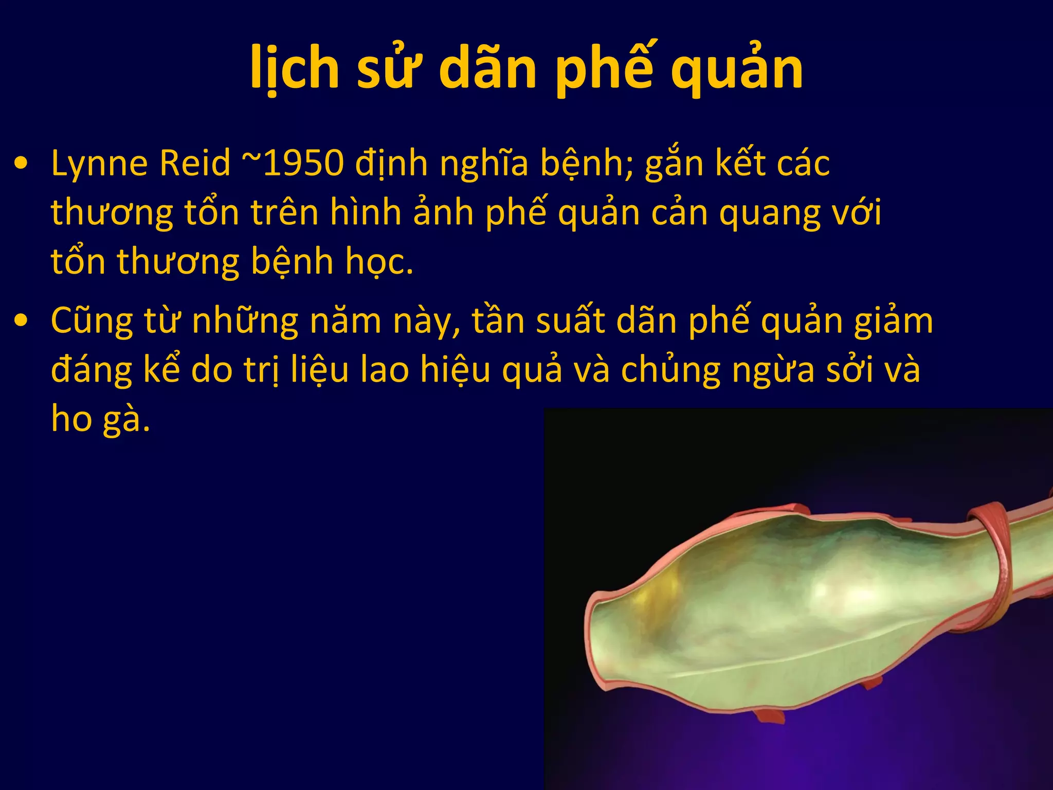 lịch sử dãn phế quản
• Lynne Reid ~1950 định nghĩa bệnh; gắn kết các
thương tổn trên hình ảnh phế quản cản quang với
tổn thương bệnh học.
• Cũng từ những năm này, tần suất dãn phế quản giảm
đáng kể do trị liệu lao hiệu quả và chủng ngừa sởi và
ho gà.
 