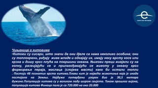 Dan planete zemlje 2019 ivana mili PPT