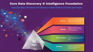 Core Data Discovery & Intelligence Foundation
Know-Your-Data with Industry First Discovery-in-Depth Platform for Crown Jew...