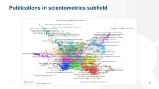 Publications in scientometrics subfield
24
 
