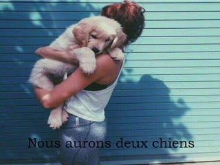 Nous aurons deux chiens