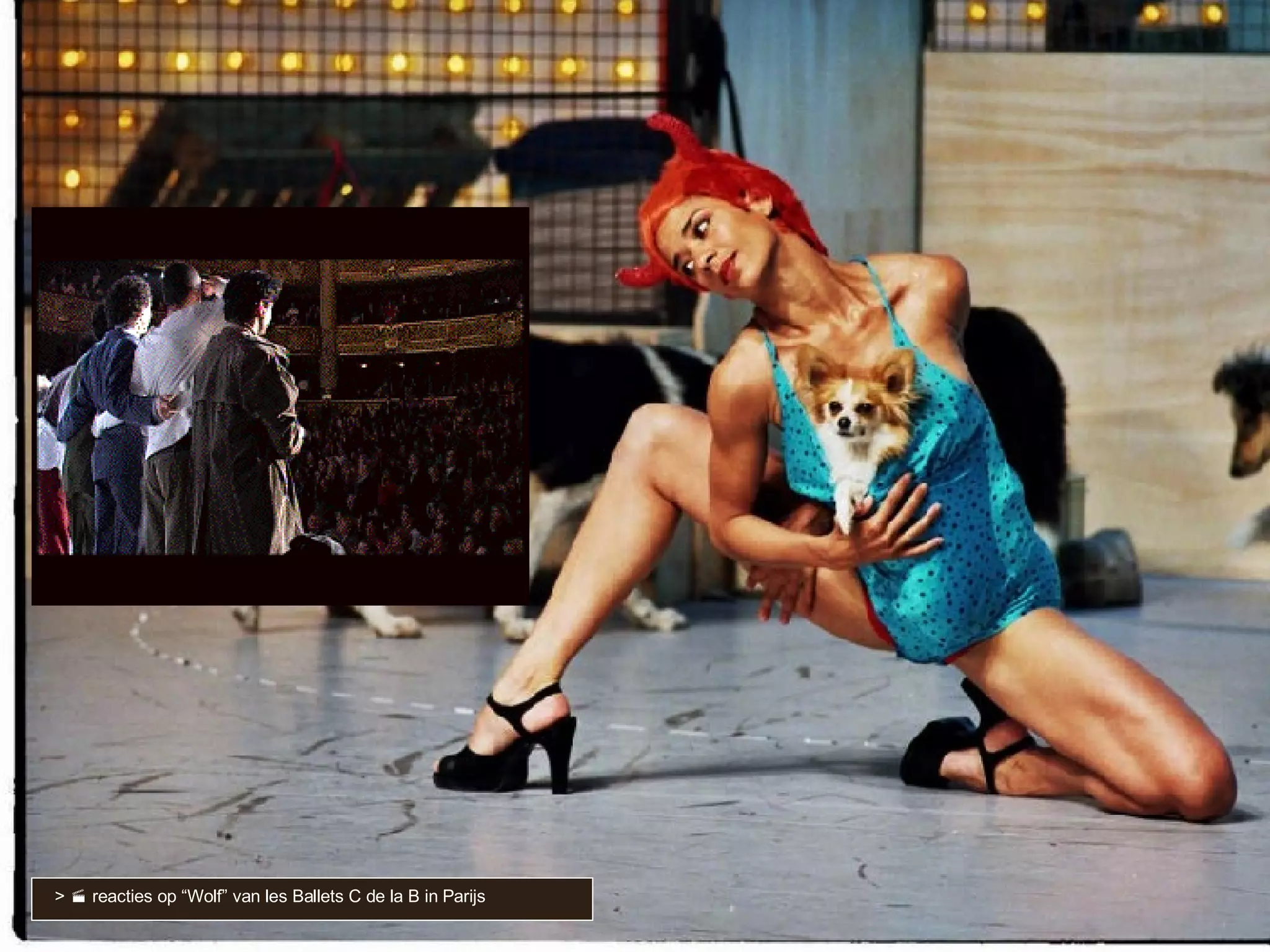 >    reacties op “Wolf” van les Ballets C de la B in Parijs 