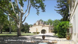 Le Château d’Avignon se prélasse sous le soleil de la Camargue.
 