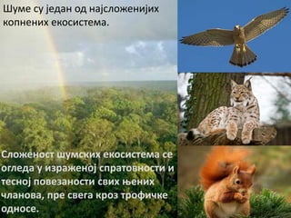 Шуме су један од најсложенијих
копнених екосистема.
Сложеност шумских екосистема се
огледа у израженој спратовности и
тесној повезаности свих њених
чланова, пре свега кроз трофичке
односе.
 