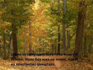 Шуме су природна богатства планете
Земље. Иако без њих не може, човек
их константно уништава.
 