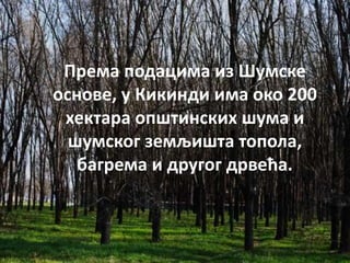 Према подацима из Шумске
основе, у Кикинди има око 200
хектара општинских шума и
шумског земљишта топола,
багрема и другог дрвећа.
 