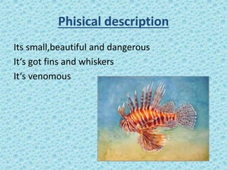 Phisical description
Its small,beautiful and dangerous
It‘s got fins and whiskers
It‘s venomous

 