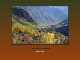 Vall de Cardós Parque Natural del Alto Pirineo 