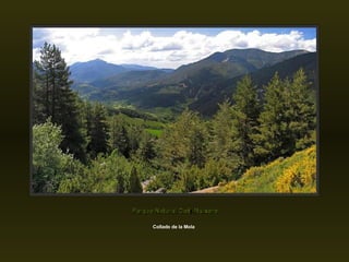 Collado de la Mola Parque Natural Cadí-Moixeró 