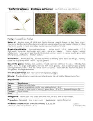 * California Oatgrass – Danthonia californica

(dan-THOWN-ee-uh kal-ih-FOR-nik-uh)

Family: Poaceae (Grass Family)
Western coast of North and South America, coastal Orange & San Diego county
mountains, San Bernardino Mountains; grows in diverse climates from cool coastal hillsides to inland
mountains, usually in moist, open sites, coastal prairies, meadows, forests.

Native to:

perennial bunchgrass
mature height: 1-3 ft. mature width: 2-3 ft.
Cool-season perennial bunchgrass with fuzzy, dull-green leaves.
Forms dense, rounded
tuft/bunches. Looks green year-round with modest summer water. In nature usually grows with
other grasses, wildflowers. Medium texture.

Growth characteristics:

Blooms Mar-Apr. Flowers are small, on bending stems above the foliage. Flowers/
seeds are unique and showy – form a zig-zag pattern.

Blooms/fruits:

Uses in the garden: Probably best used in a mixed prairie or wildflower meadow. Tolerates foot
traffic. Good for slope stabilization, alone or with other grasses. Nice choice for rock gardens,
growing between pavers. Fine for a small native lawn area. Good plant for medium-wet areas of
rain gardens and vegetated swales.

Sensible substitute for: Non-native ornamental grasses, sedges.
Attracts: Provides birds with nesting material and seeds. Larval food for Skipper butterflies.
Requirements:
Element
Sun
Soil
Water
Fertilizer
Other

Requirement

Full sun to light shade.
Any well-drained soil; not for very alkali soils (pH > 8.0)
Tolerant of wide range of summer water: Zone 1-2 to 2-3. Seasonal flooding OK.
None needed

Management:

Plants grow very slowly their first year. Be sure area is well-weeded.

Propagation: from seed: slow to germinate

by divisions:

easy in fall/winter

Plant/seed sources (see list for source numbers): 5, 8, 10, 11

2/13/11

* Native to CA but not to Western L.A. Co.

© Project SOUND

 