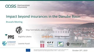 Impact beyond insurances in the Danube Basin
October 29th, 2019
Brussels Meeting
Maja Turk Sekulic, Jelena Radonic
Boglárka Lakatos
Levente Huszti
Michel Wortmann
 