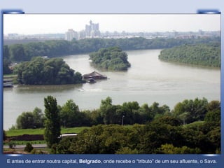 E antes de entrar noutra capital,  Belgrado , onde recebe o “tributo” de um seu afluente, o Sava. 