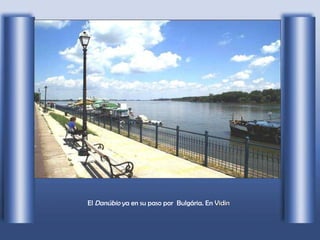 El  Danúbio  ya en su paso por  Bulgária. En  Vidin   