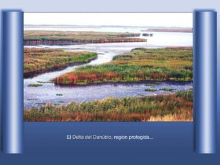El  Delta del Danúbio , region protegida... 