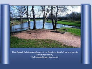 El rio Brigach (a la izquierda) como el  rio Breg (a la derecha) son el origen del  Danúbio  (al centro)   En  Donaueschingen  (Alemania) 