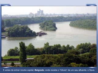 E antes de entrar noutra capital,  Belgrado , onde recebe o “tributo” de um seu afluente, o Sava. 