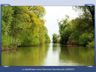 ...e classificada como Património Mundial pela UNESCO   