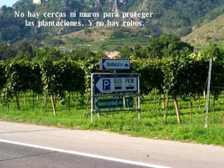 No hay cercas ni muros para proteger  las plantaciones. Y no hay robos. 