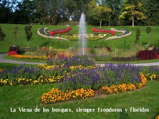 La Viena de los bosques, siempre frondosos y floridos . 