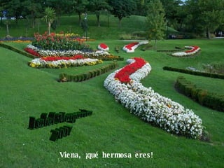 Viena, ¡qué hermosa eres!   Isabel Margarita 2007 