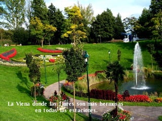 La Viena donde las flores son más hermosas  en todas las estaciones. 