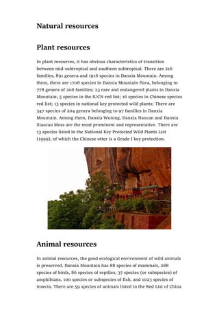 Natural resources
Plant resources
In plant resources, it has obvious characteristics of transition
between mid-subtropical and southern subtropical. There are 216
families, 891 genera and 1916 species in Danxia Mountain. Among
them, there are 1706 species in Danxia Mountain flora, belonging to
778 genera of 206 families; 23 rare and endangered plants in Danxia
Mountain; 5 species in the IUCN red list; 16 species in Chinese species
red list; 13 species in national key protected wild plants; There are
347 species of 204 genera belonging to 97 families in Danxia
Mountain. Among them, Danxia Wutong, Danxia Nancan and Danxia
Xiaocao Moss are the most prominent and representative. There are
13 species listed in the National Key Protected Wild Plants List
(1999), of which the Chinese otter is a Grade I key protection.
Animal resources
In animal resources, the good ecological environment of wild animals
is preserved. Danxia Mountain has 88 species of mammals, 288
species of birds, 86 species of reptiles, 37 species (or subspecies) of
amphibians, 100 species or subspecies of fish, and 1023 species of
insects. There are 59 species of animals listed in the Red List of China
 