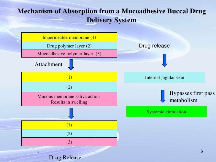 buccal drug delivery system