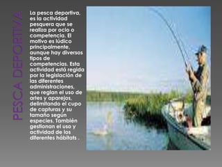 Pesca deportivaLa pesca deportiva, es la actividad pesqueraque se realiza por ocio o competencia. El motivo es lúdico principalmente, aunque hay diversos tipos de competencias. Esta actividad está regida por la legislación de las diferentes administraciones, que reglan el uso de artes y aparejos, delimitando el cupo de capturas y su tamaño según especies. También gestionan el uso y actividad de los diferentes hábitats.