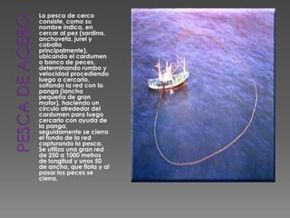 Pesca de aceroLa pesca de cerco consiste, como su nombre indica, en cercar al pez (sardina, anchoveta, jurel y caballa principalmente), ubicando el cardumen o banco de peces, determinando rumbo y velocidad procediendo luego a cercarlo, soltando la red con la panga (lancha pequeña de gran motor), haciendo un círculo alrededor del cardumen para luego cercarlo con ayuda de la panga, seguidamente se cierra el fondo de la red capturando la pesca. Se utiliza una gran red de 250 a 1000 metros de longitud y unos 50 de ancho, que flota y al pasar los peces se cierra.