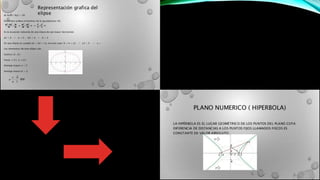 Danys polania 30042255