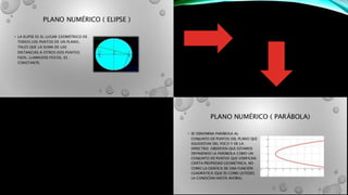 Danys polania 30042255