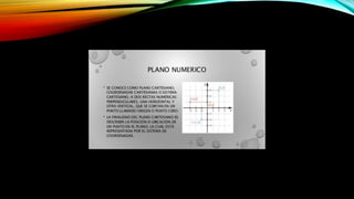 Danys polania 30042255