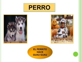 PERRO




 EL PERRITO
    HACE
 GUAU GUAU
 