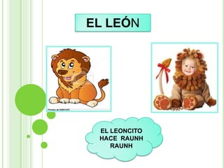 EL LEÓN




 EL LEONCITO
 HACE RAUNH
    RAUNH
 