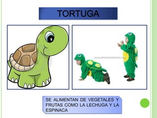 SE ALIMENTAN DE VEGETALES Y
FRUTAS COMO LA LECHUGA Y LA
ESPINACA
 