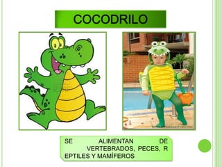 SE        ALIMENTAN     DE
      VERTEBRADOS, PECES, R
EPTILES Y MAMÍFEROS
 