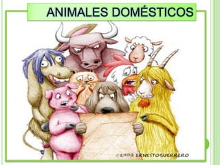 ANIMALES DOMÉSTICOS
 
