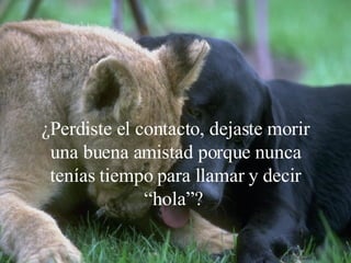 ¿Perdiste el contacto, dejaste morir una buena amistad porque nunca tenías tiempo para llamar y decir “hola”?   