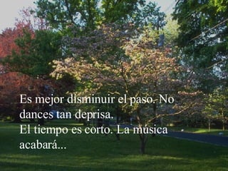 Es mejor disminuir el paso. No dances tan deprisa. El tiempo es corto. La música acabará... 
