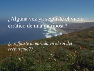 ¿Alguna vez ya seguiste el vuelo errático de una mariposa?   ¿...o fijaste la mirada en el sol del crepúsculo?? 