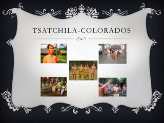 TSATCHILA -COLORADOS
 