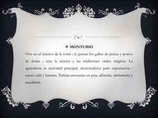 MONTUBIO
Vive en el interior de la costa ; le gustan los gallos de peleas y potros
de doma ; ama la música y las tradiciones orales mágicas. La
agricultura es actividad principal, monocultivos para exportación :
cacao, café y banano. Trabaja artesanías en paja, alfarería, talabartería y
mueblería.
 