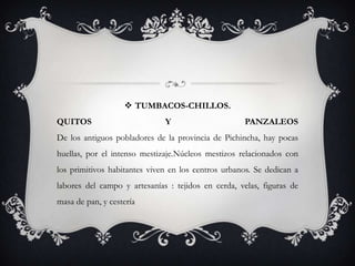  TUMBACOS-CHILLOS.
QUITOS                        Y                     PANZALEOS
De los antiguos pobladores de la provincia de Pichincha, hay pocas
huellas, por el intenso mestizaje.Núcleos mestizos relacionados con
los primitivos habitantes viven en los centros urbanos. Se dedican a
labores del campo y artesanías : tejidos en cerda, velas, figuras de
masa de pan, y cestería
 