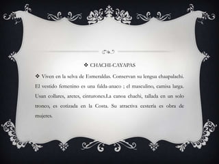  CHACHI-CAYAPAS

 Viven en la selva de Esmeraldas. Conservan su lengua chaapalachi.
El vestido femenino es una falda-anaco ; el masculino, camisa larga.
Usan collares, aretes, cinturones.La canoa chachi, tallada en un solo
tronco, es cotizada en la Costa. Su atractiva cestería es obra de
mujeres.
 