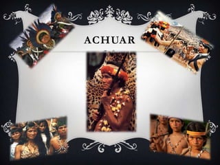 ACHUAR
 