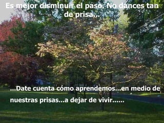 Es mejor disminuir el paso. No dance s  tan de prisa... ... Date cuenta cómo aprendemos...en medio de nuestras prisas...a dejar de vivir... ... 