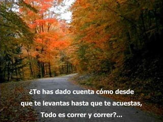 ¿Te has dado cuenta cómo desde que te levantas hasta que te acuestas, Todo es correr y correr?... 