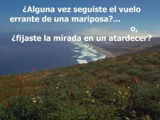 ¿Alguna vez seguiste el vuelo errante de una mariposa?...  o, ¿fijaste la mirada en un atardecer? 