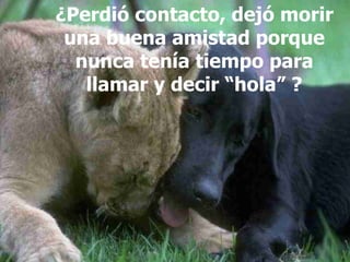 ¿Perdió contacto, dejó morir una buena amistad porque nunca tenía tiempo para llamar y decir “hola” ? 