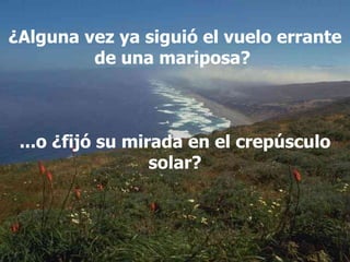 ¿Alguna vez ya siguió el vuelo errante de una mariposa?  ...o ¿fijó su mirada en el crepúsculo solar? 